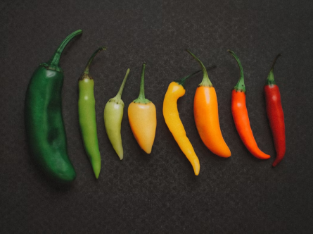 5 Plants That Thrive in Your Smart Indoor Garden This Summer
