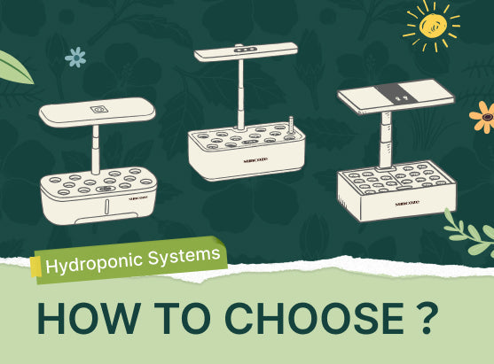 suncoze Hydroponic Systems Buying Guide