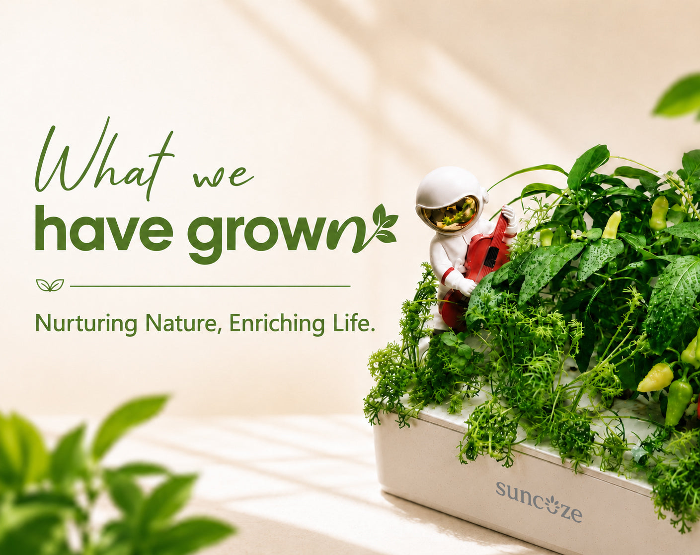 indoor hydroponic garden