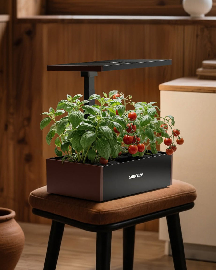 Indoor garden with plants and tomatoes on a stool, illuminated by a grow light.