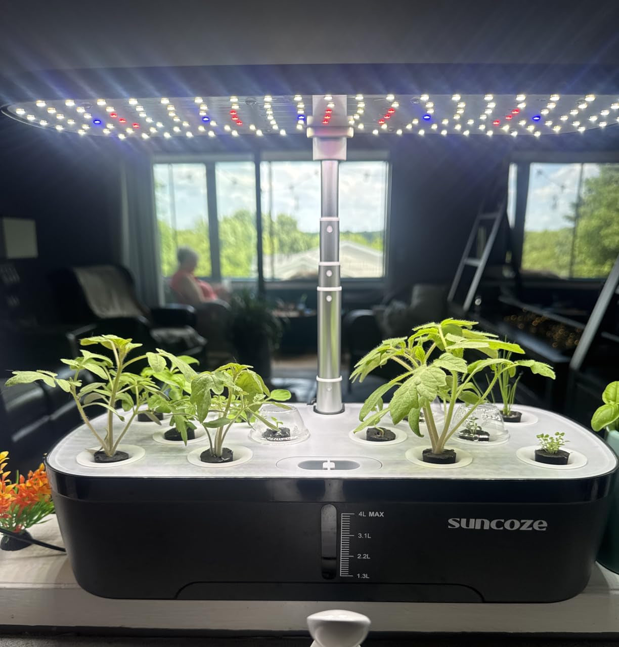 Suncoze indoor gardening system with plants on a table.