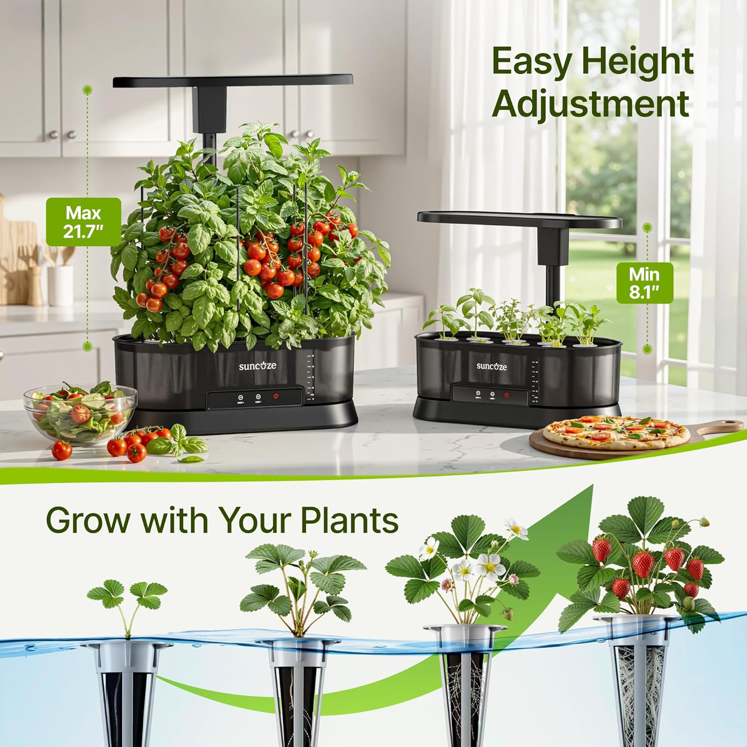 SUNCOZE Hydroponics Growing System with Removable Tank, 36W Dimmable Full Spectrum LED Grow Light, 12 Pods Indoor Herb Garden with 5L Split Water Tank, 21.6" Height Adjustable Hydroponic Garden