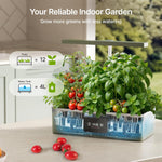 SUNCOZE Hydroponics Growing System Kit with 24W Dimmable Grow Light, 12 Pods Indoor Herb Garden with Timer & Local Time Setting, Adjustable Height, Smart Countertop Garden for Home & Kitchen, Green