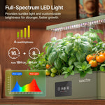 SUNCOZE Hydroponics Growing System Kit with 24W Dimmable Grow Light, 12 Pods Indoor Herb Garden with Timer & Local Time Setting, Adjustable Height, Smart Countertop Garden for Home & Kitchen, Green