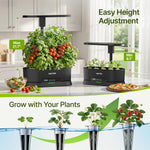 SUNCOZE Hydroponics Growing System Kit with Split Tank, Dimmable 36W Full Spectrum LED Grow Light, 12 Pods Indoor Herb Garden with Timer & Clock Smart Pane, 21.65 Inch Height Adjustable Herb Garden