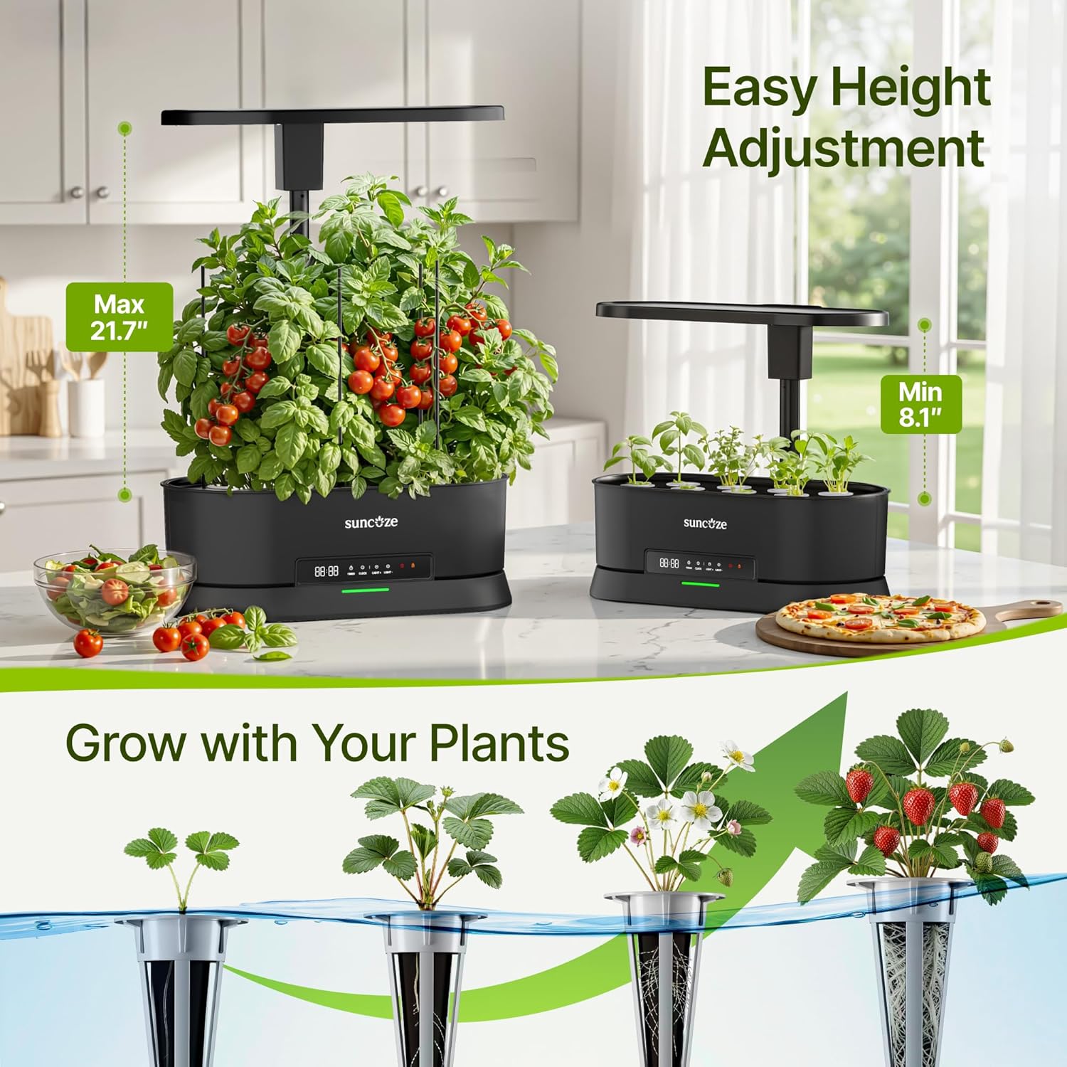 SUNCOZE Hydroponics Growing System Kit with Split Tank, Dimmable 36W Full Spectrum LED Grow Light, 12 Pods Indoor Herb Garden with Timer & Clock Smart Pane, 21.65 Inch Height Adjustable Herb Garden
