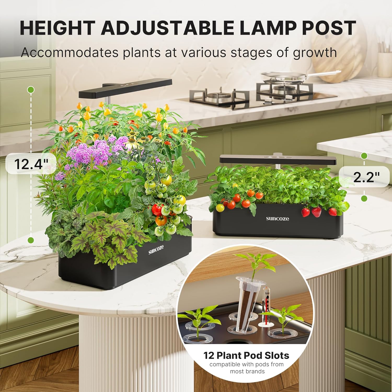 SUNCOZE Hydroponics Growing System Kit 12 Pods, 24W LED Grow Light Indoor Garden, 4L Water Tank with Quiet Pump, Adjustable Height Herb Garden Planter Indoor Kit, Gardening Gifts, Black