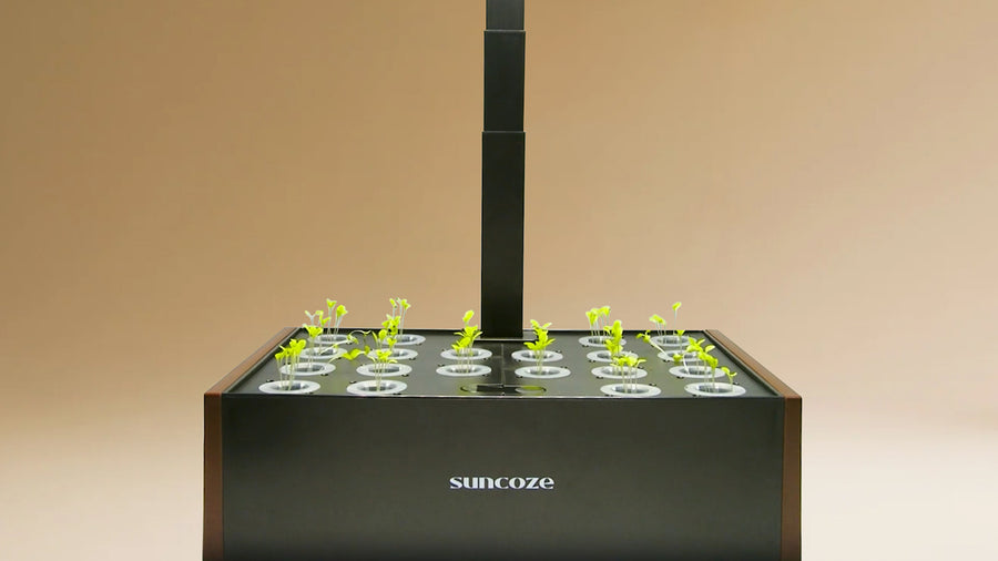 Faster Growth