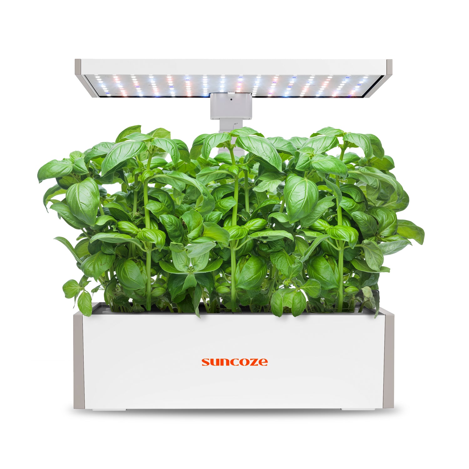CLASSIC Hydroponics Growing System (20 Pods) | IG1001WH
