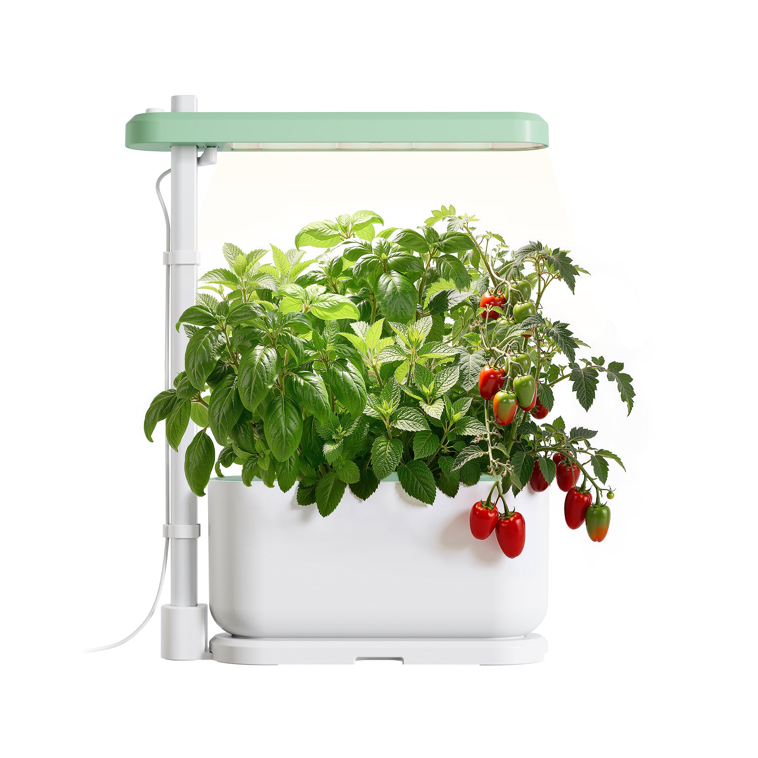 NEO Hydroponics Growing System (3 Pods) | IG1007GW
