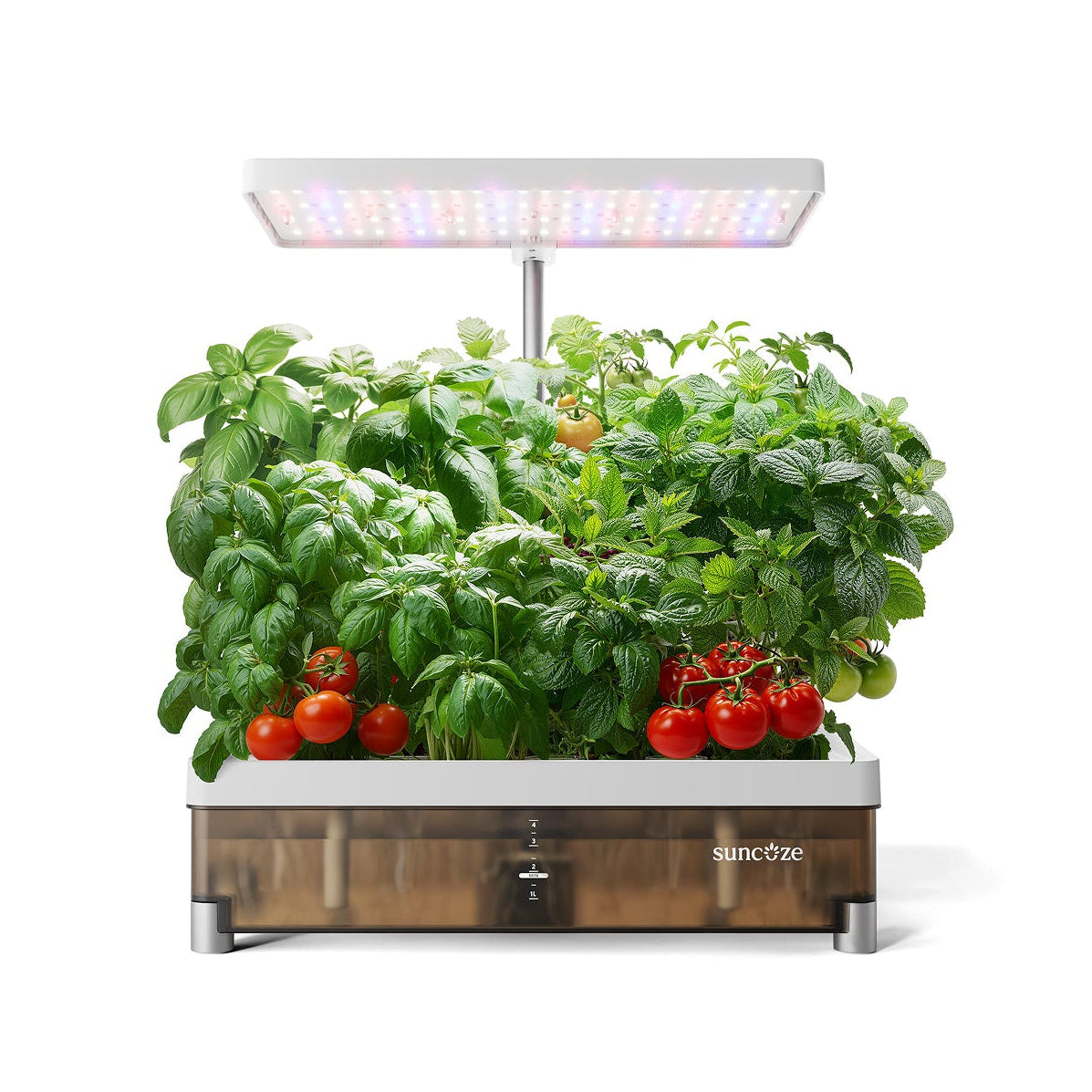 AMBER Hydroponics Growing System (13 Pods) | IG1009BW