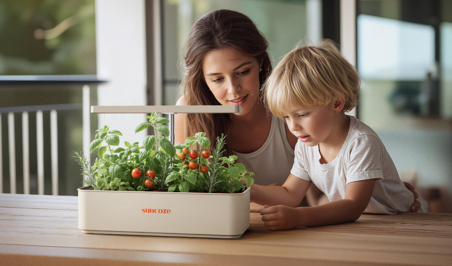 Woman and child looking at a small indoor garden on a table.